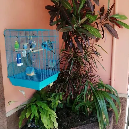 A Casa Do Caseiro Гостевой дом 4*